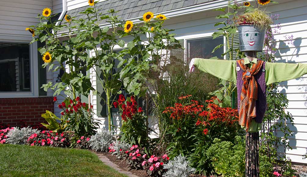 Our Flower Gardens at Top Notch Inn