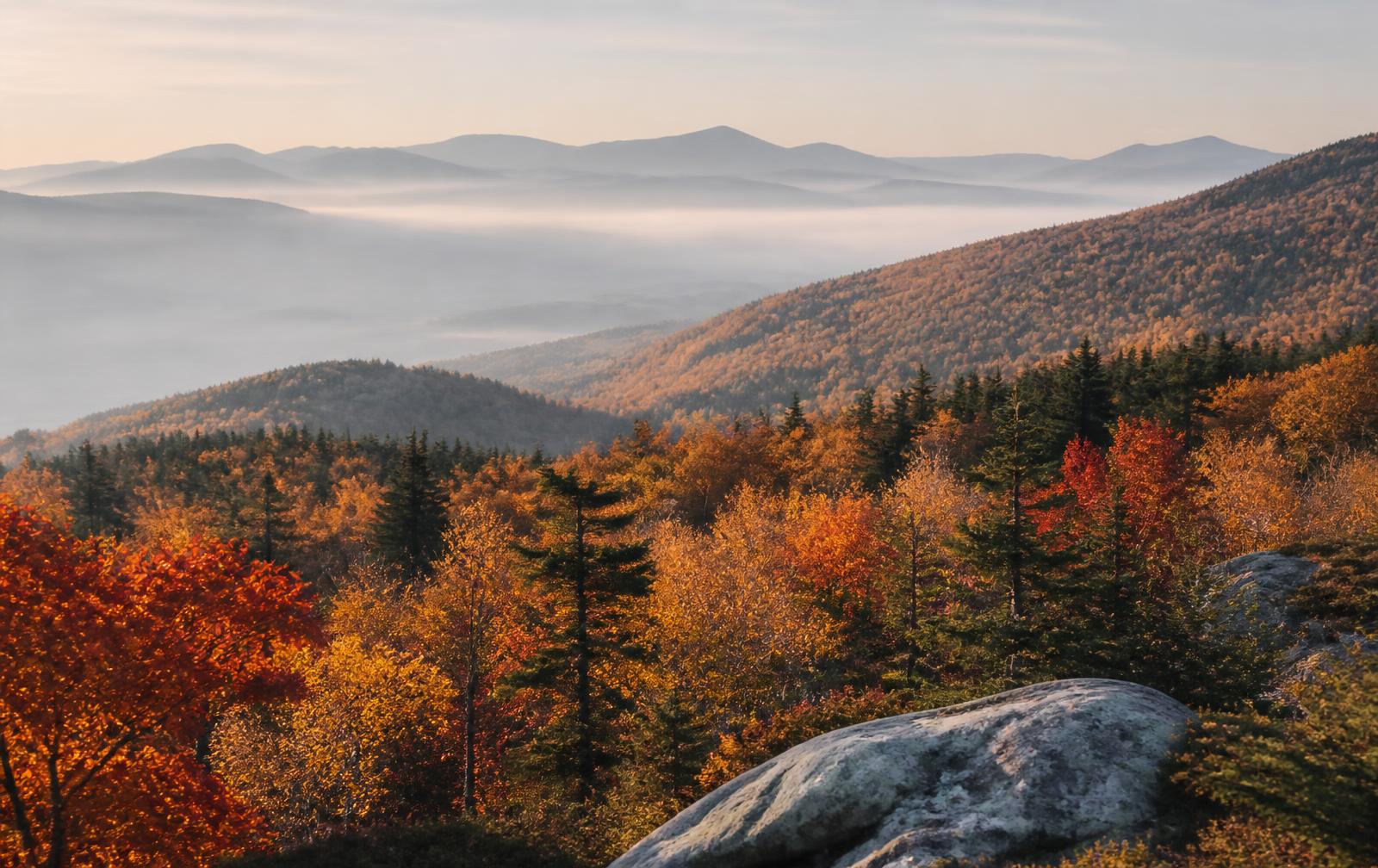 White Mountain hillsides glowing with peak autumn foliage
